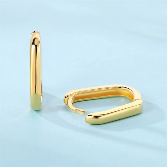 Lina long loop Earrings